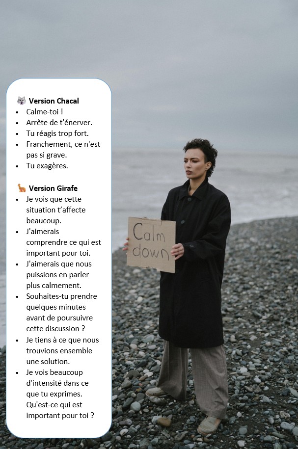 La colère, amie ou ennemie, Communication Non Violente, signal, écoute, alignement, assertivité, besoins, Coaching professionnel individuel et collectif, émotions, formation, Management et Communication Non Violente, manager, poser ses limites, prévention et gestion de conflit
